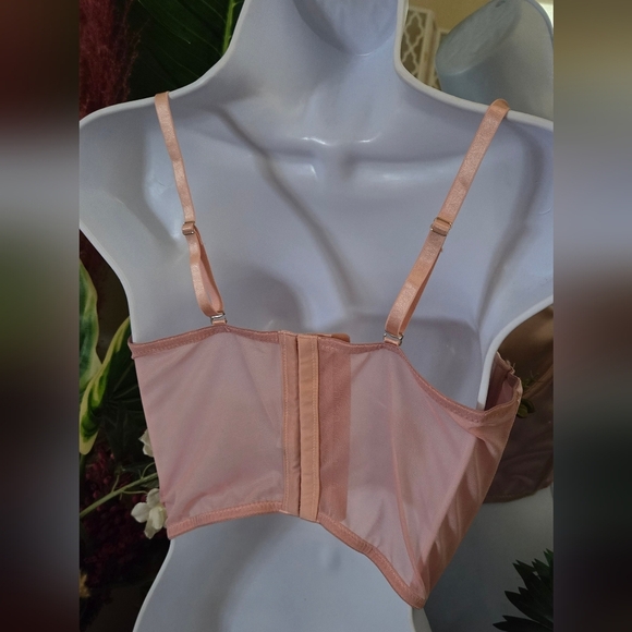 Sexy Powder Pink Lace Silky Soft Bustier - Picture 4 of 8